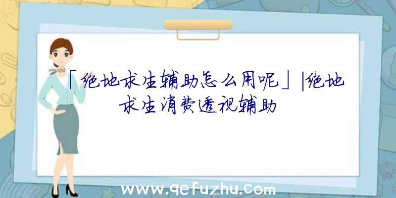 「绝地求生辅助怎么用呢」|绝地求生消费透视辅助